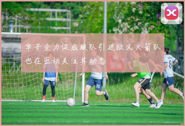 华子全力促成狼队引进欧文火箭队也在密切关注其动态