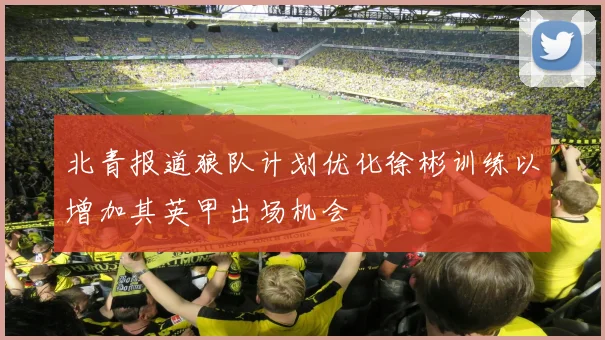 北青报道狼队计划优化徐彬训练以增加其英甲出场机会
