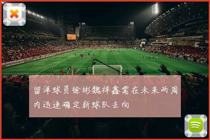 留洋球员徐彬魏祥鑫需在未来两周内迅速确定新球队去向